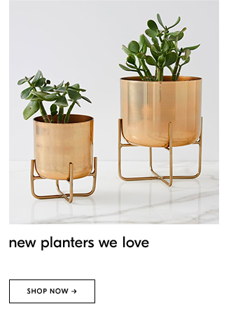 new planters we love