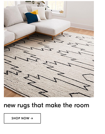 new rugs that make the room
