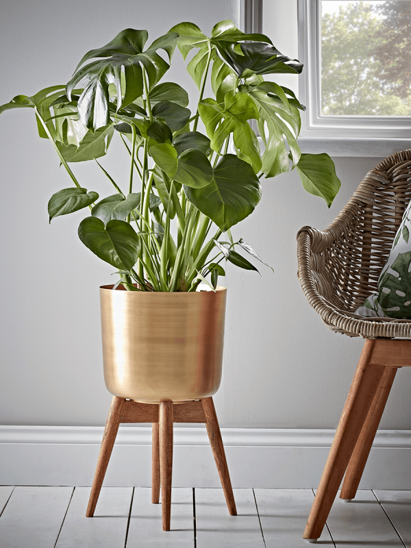 Standing Brass Planter