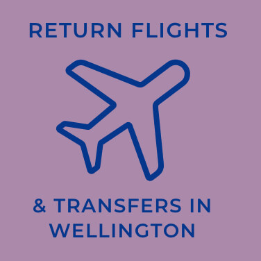 Return Flights & Transfers in Wellington