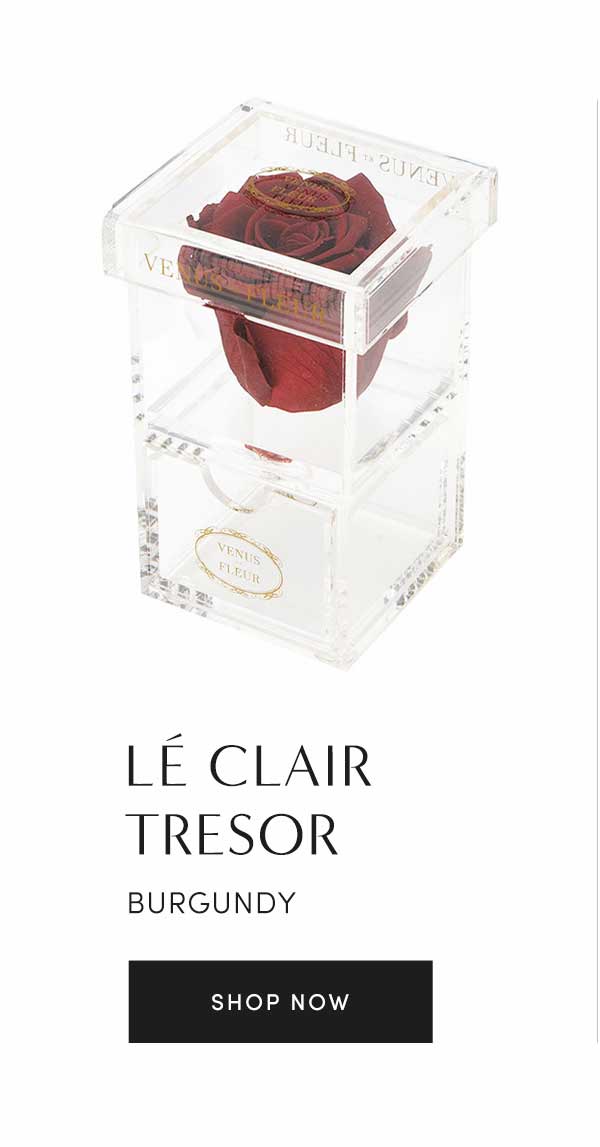 L? Clair Tresor | Burgundy | Shop Now