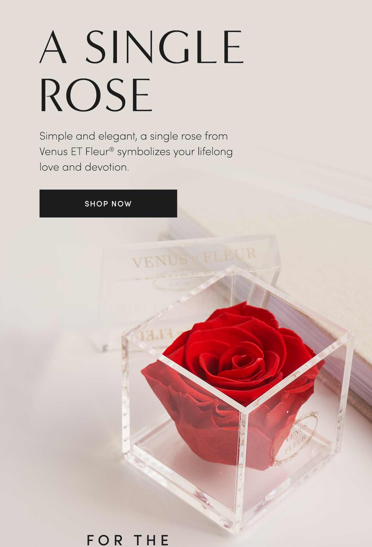 A SINGLE ROSE. Simple and elegant, a single rose from Venus ET Fleur? symbolizes your lifelong love and devotion. SHOP NOW.