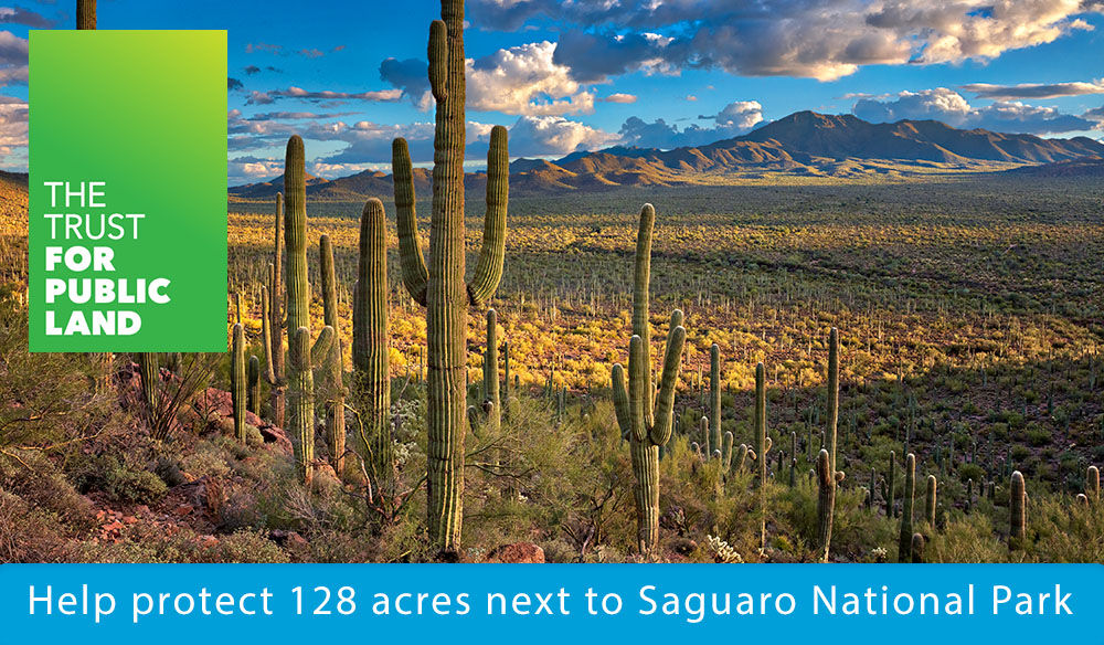 Help protect 128 acres next to Saguaro National Park