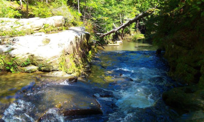 The 7 Best Trails To Hike In The Sipsey Wilderness, One Of Alabama''s Top Hiking Destinations