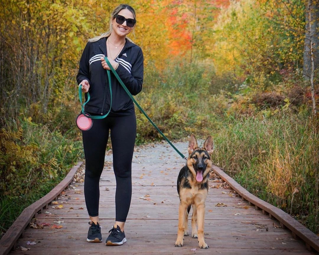 Outdoor Adventures You Can Do With Your Dog in Green Bay