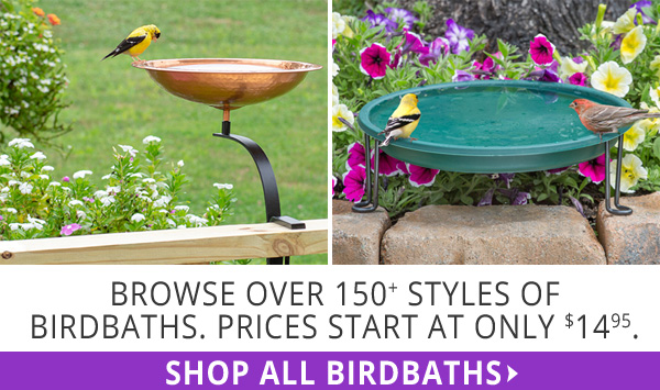 Browse over 150+ Styles of Birdbaths. Prices start at only $14.95.