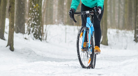 cyclist-snowy-forest 560x310.jpg