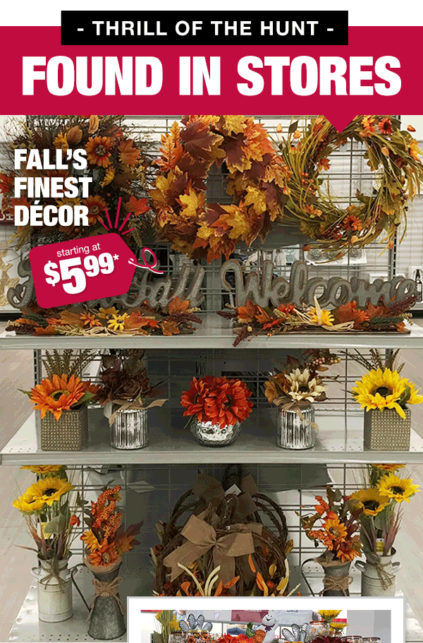 Found in Stores - Fall's Finest D?cor starting at $5.99