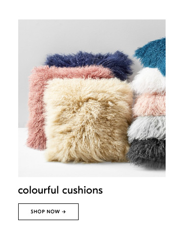 Colourful cushions. Shop Now