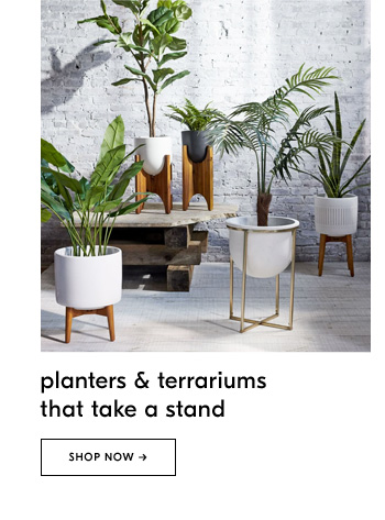 Planters & terrariums that take a stand. Shop Now