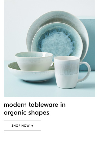 Modern tableware in organic shapes. Shop Now