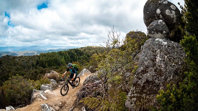 From Peak to Sea in Tasmania