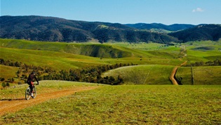 Cattlemen 100 MTB - a big day in Omeo