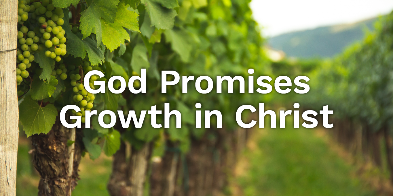 God Promises Growth in Christ