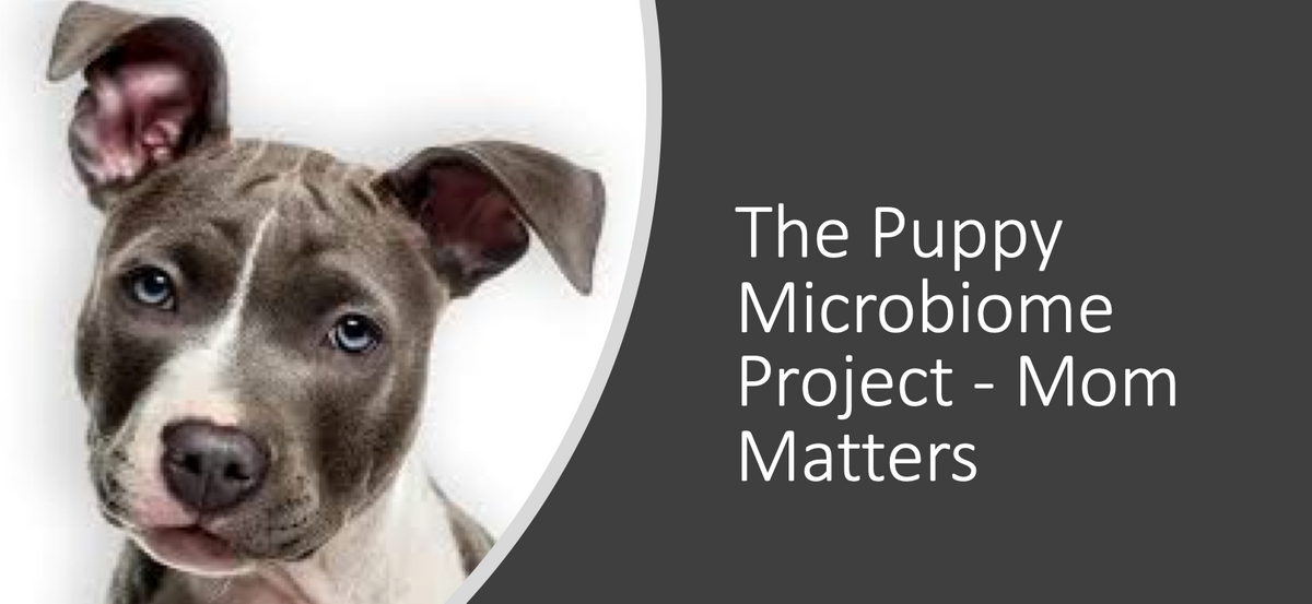 The puppy microbiome project