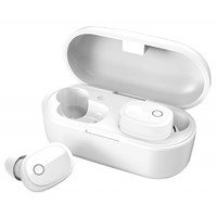True Wireless Bluetooth 5.0 Earphones with Charging Case - White