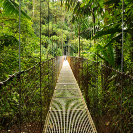 Canopy walkway in Arenal National Park