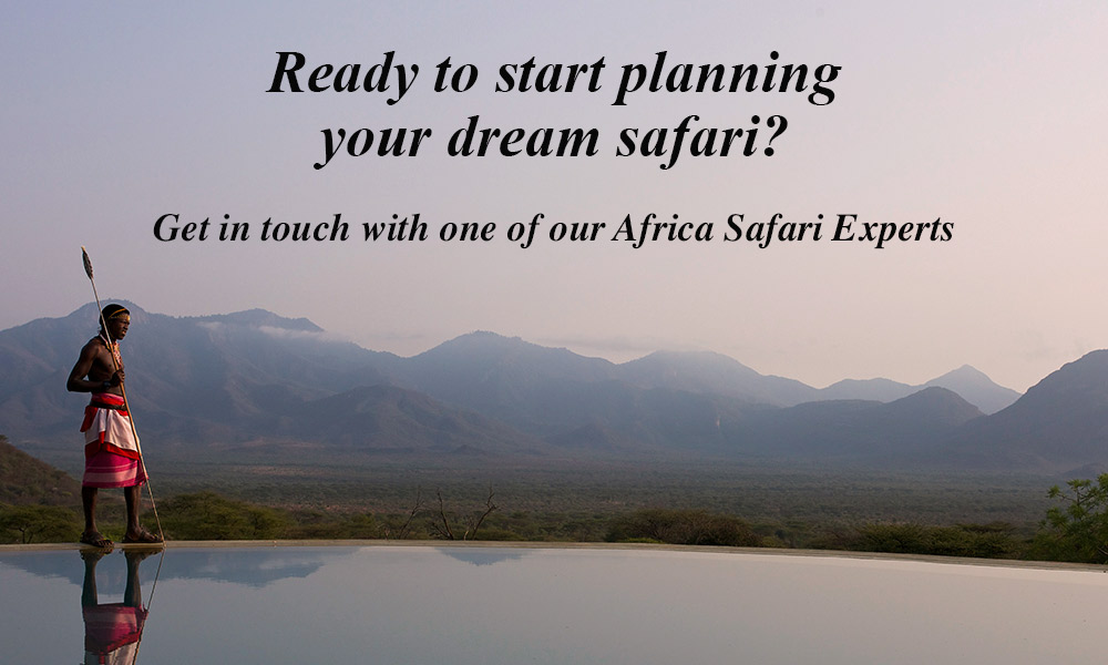 Ready to start planning your dream safari?
