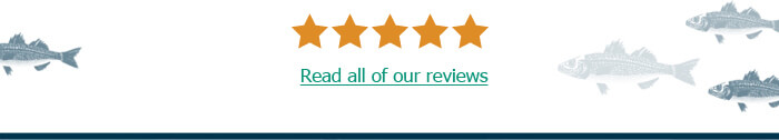 Excellent reviews