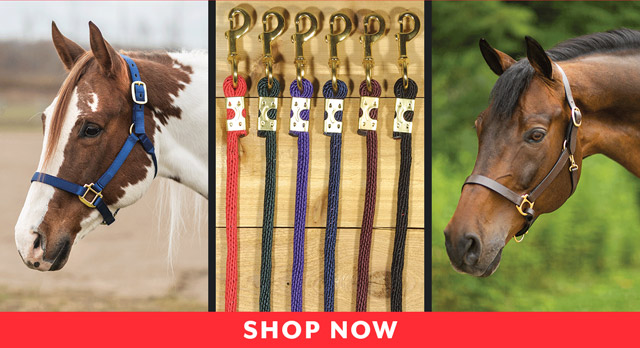Countdown to Black Friday, Day 3: up to 70% off Halters & Leads