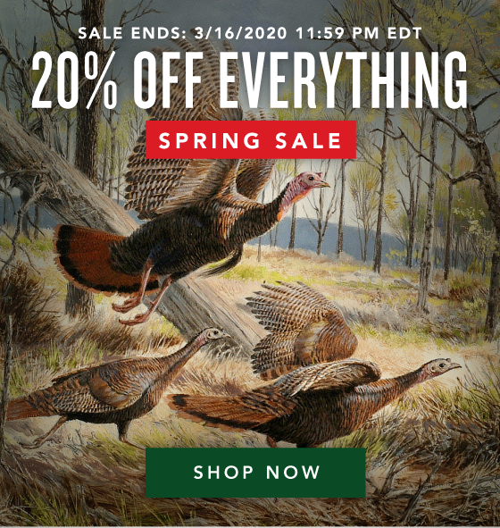 20% OFF Everything - Spring Sale