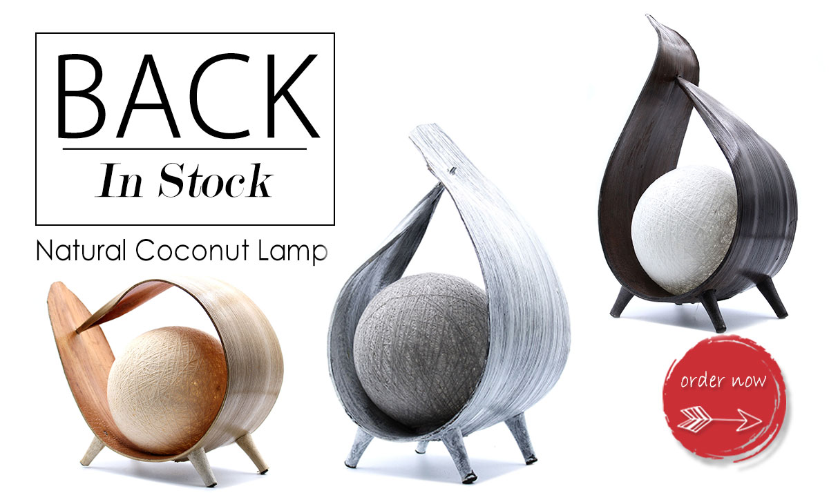 Natural Coconut Lamp