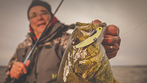 How to Catch Fall and Winter Bass Spoons