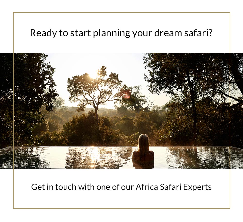 Ready to Start Planning Your Dream Safari?