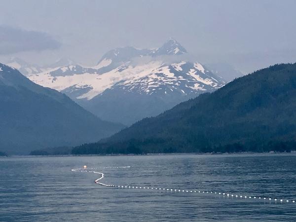 FISHING FOR COPPER RIVER SALMON