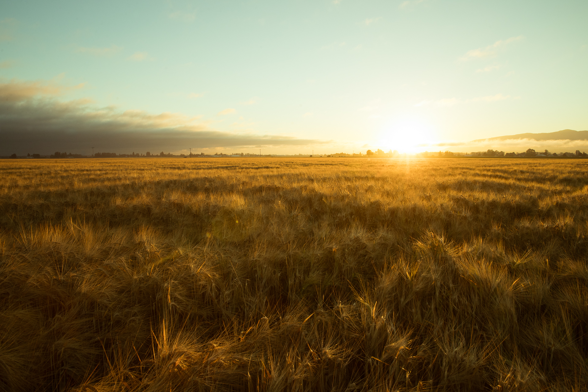 Landscape image of Skagit Valley.