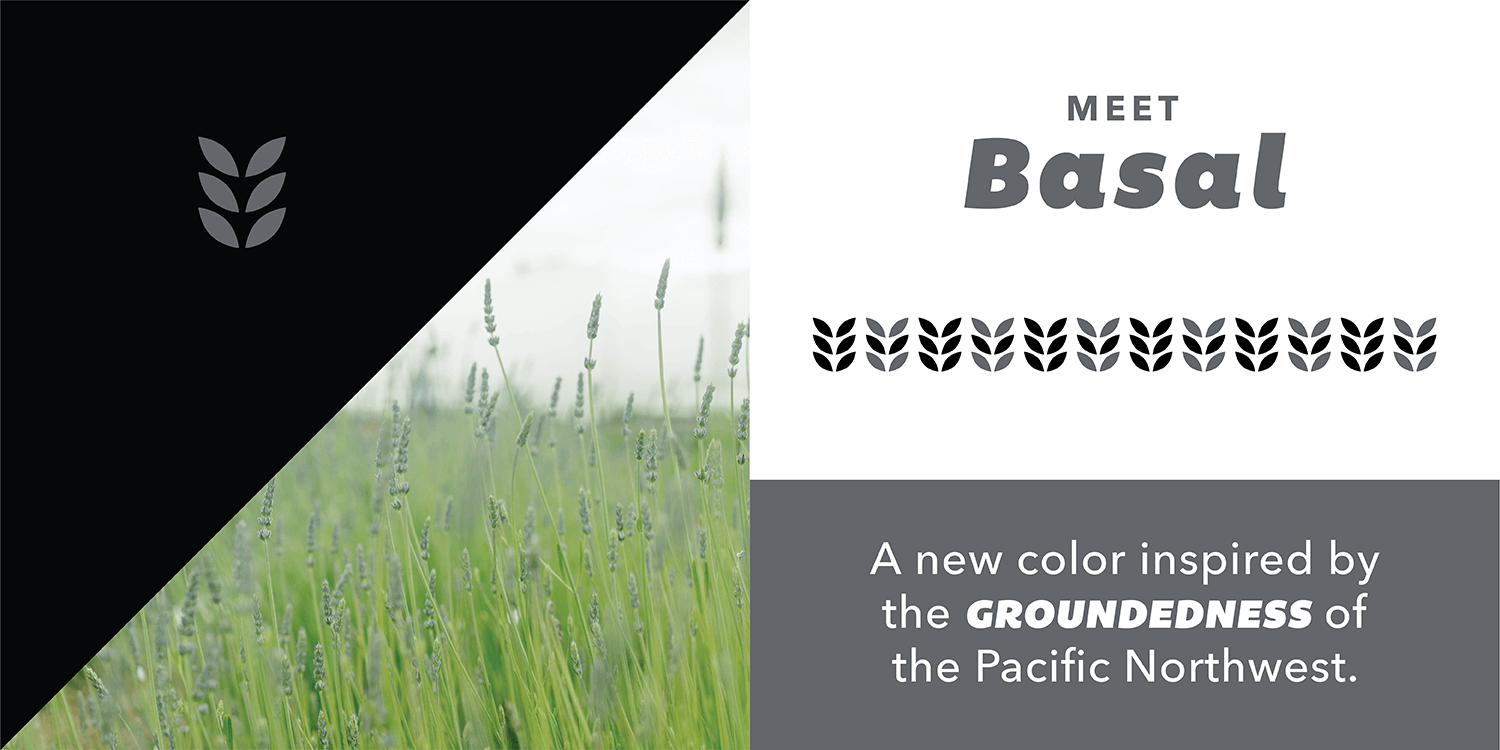 Meet Basal, a new color inspired by the groundedness of the Pacific Northwest.