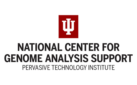 National Center for Genome Analysis Support
