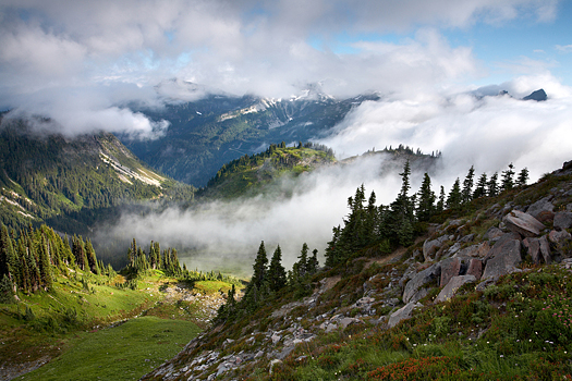 Clouds in a valley near Mount Rainer