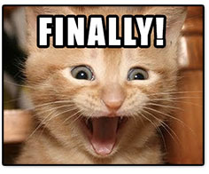 Even the kitten is excited - Enable images...
