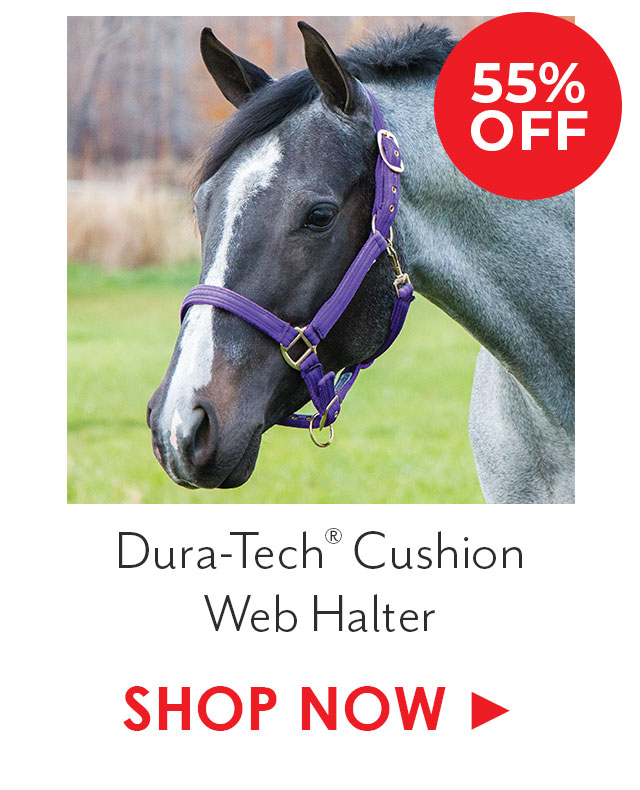 Dura-Tech Cushion Web Halter