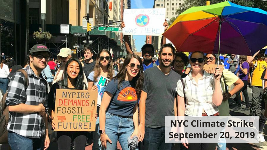 NYC Climate Strike Image