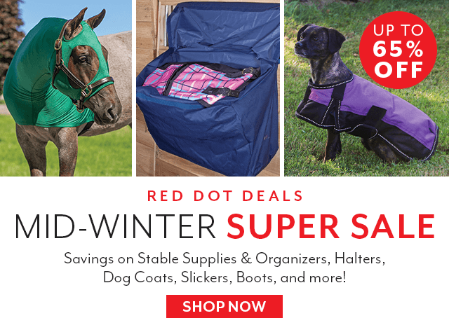 Mid-Winter Super Sale: up to 65% off hundreds of items.
