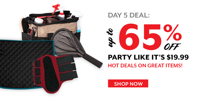 Party like it's $19.99.
