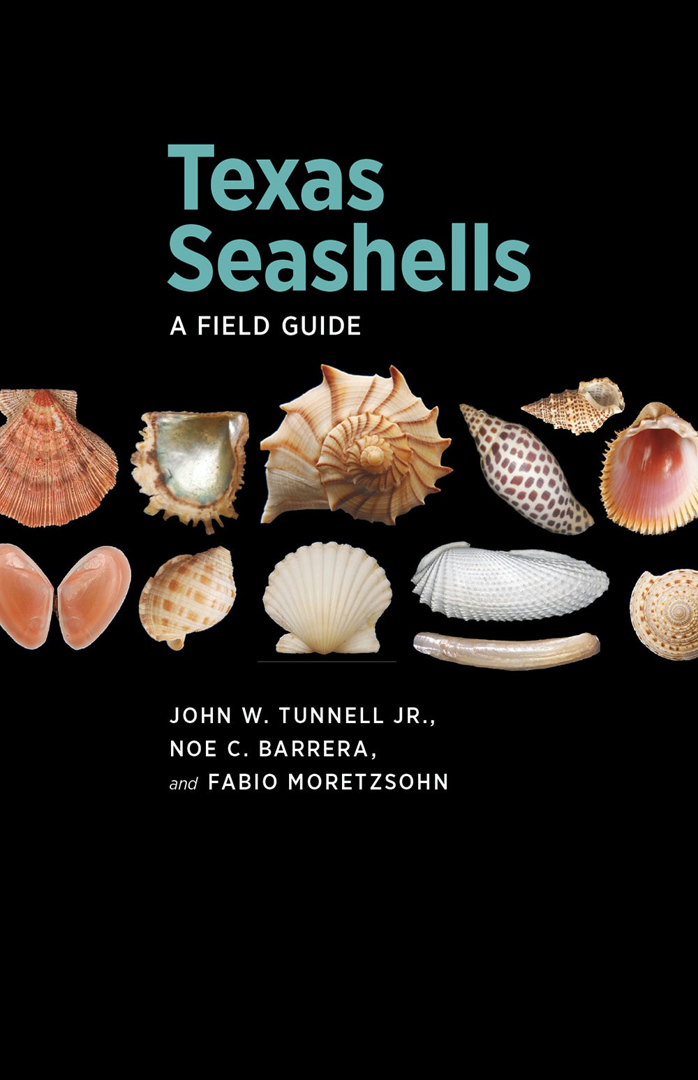 Texas Seashells book cover