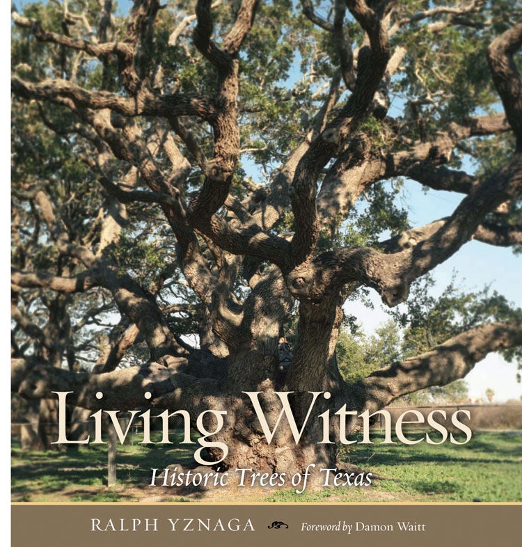 Living Witness book cover