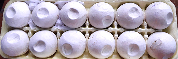 3d printed turtle eggs