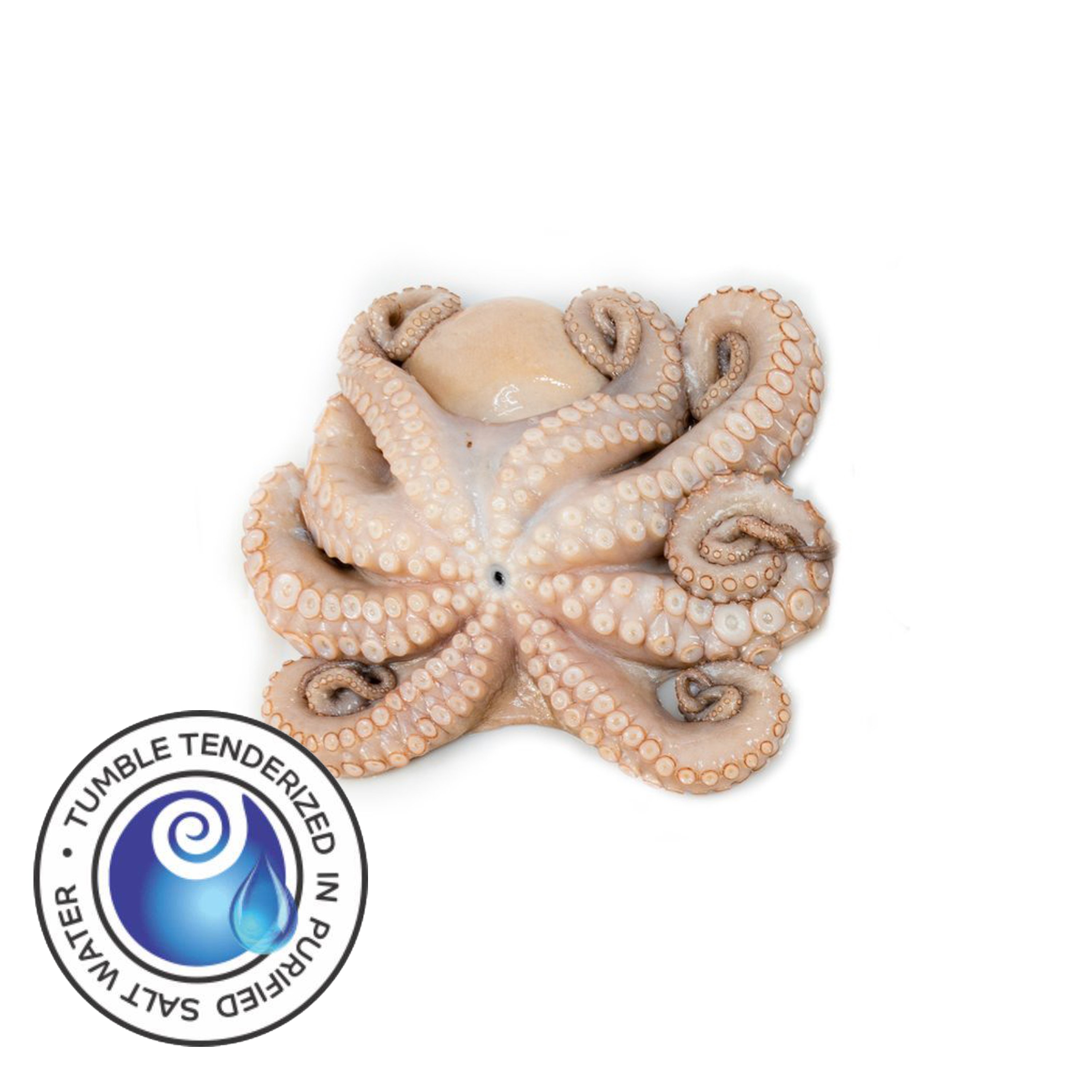 Tenderized Octopus 2-4 lbs (T5)