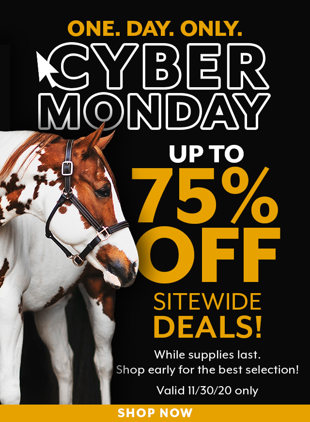 Cyber Monday is here! Up to 75% off hundreds of items sitewide. 