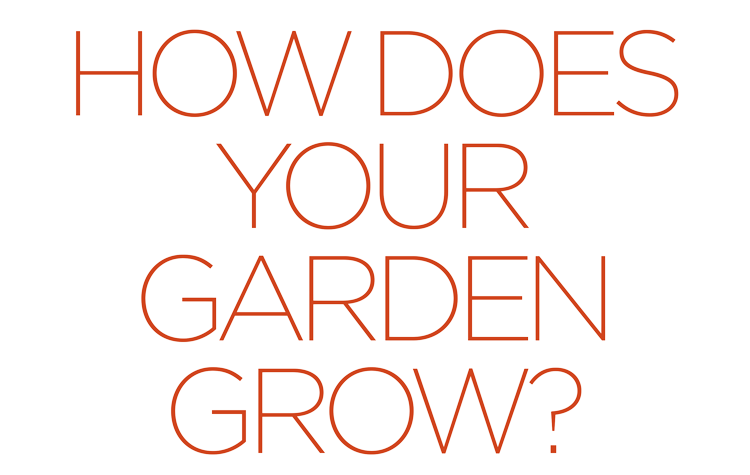 How does your garden grow?