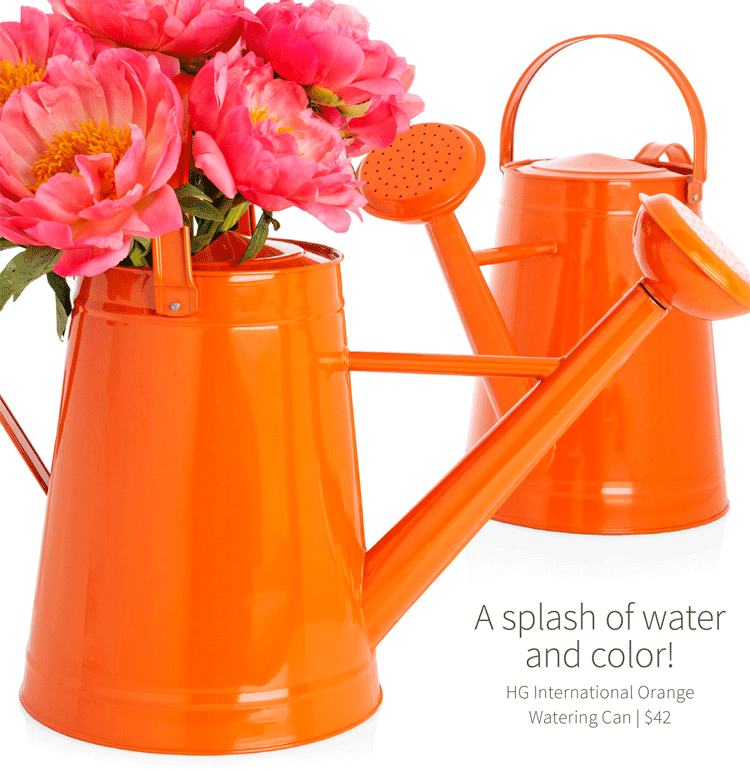 A splash of water and color! HG International Orange Watering Can, $42