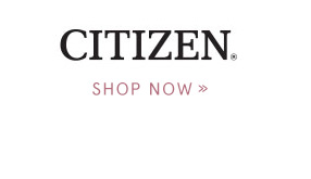 Shop Citizen