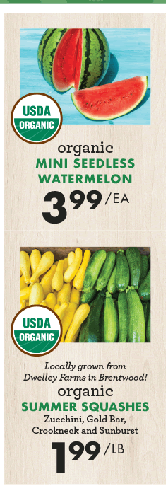 Organic Mini Seedless Watermelon - $3.99 each