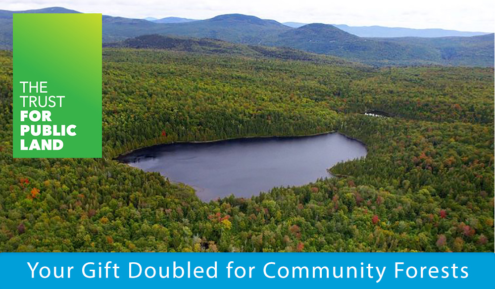 Your gift doubled for community forests