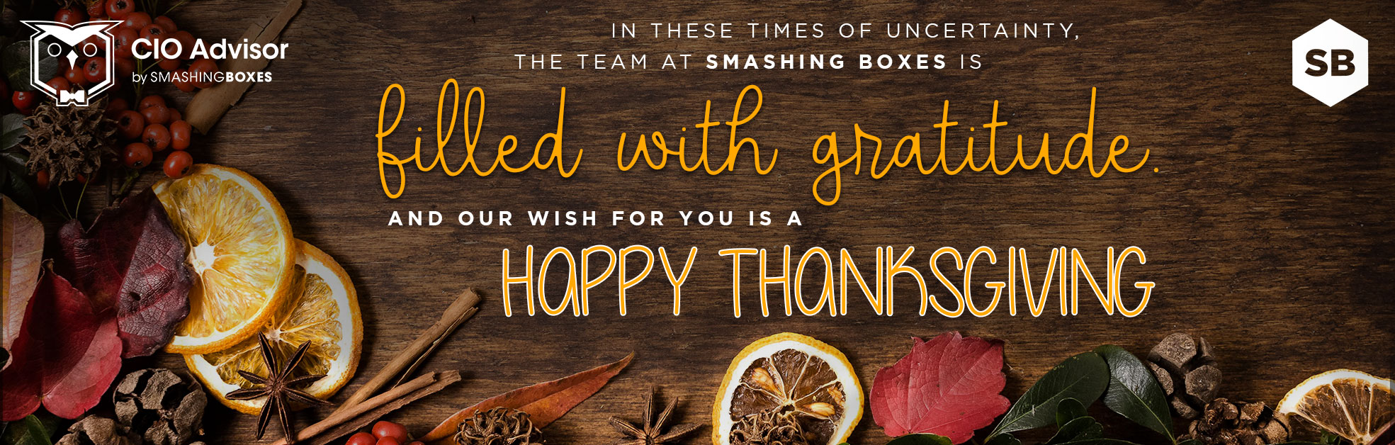 HappyThanksgiving_Email