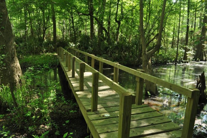 Here''s The Ultimate Bucket List For Alabamians Who Are Obsessed With Nature
